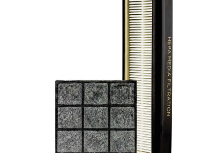 Riccar R25P HEPA and Granualted Charcoal Filter Set