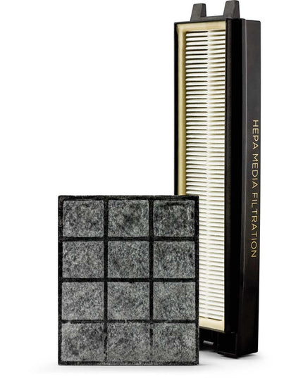 Riccar R25P HEPA and Granualted Charcoal Filter Set