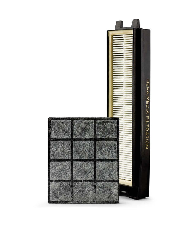 Riccar R25P HEPA and Granualted Charcoal Filter Set