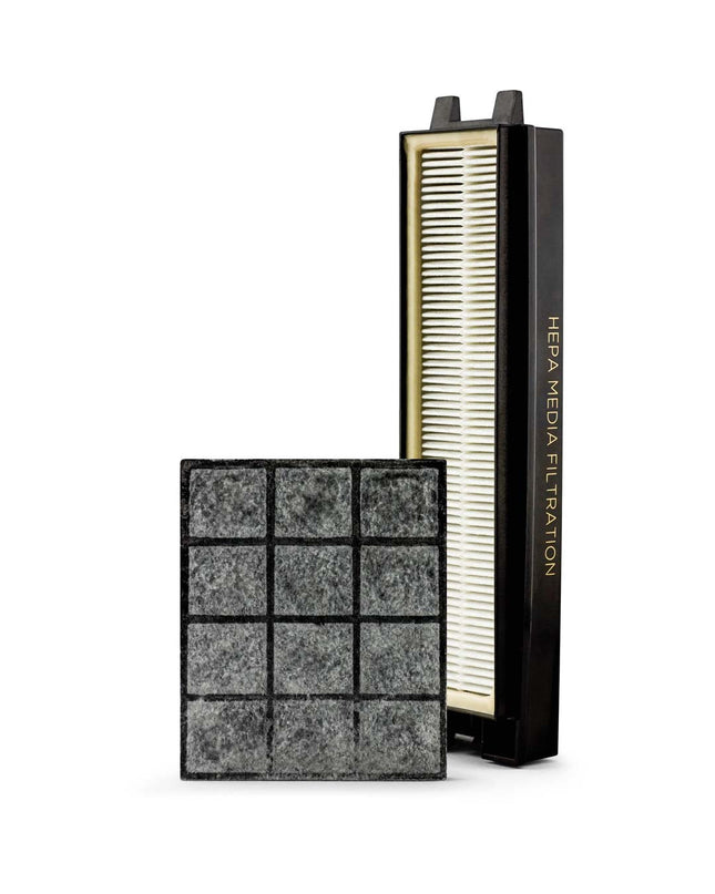 Riccar R25P HEPA and Granualted Charcoal Filter Set