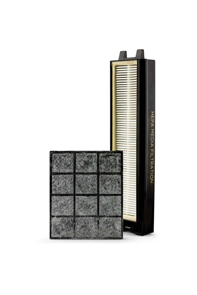 Riccar R27P R25P HEPA and Granulated Charcoal Filter Set